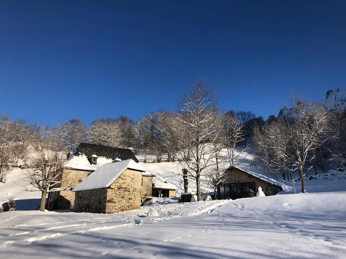 Villa Le Domaine De Castille - Chalet Pyreneen De Charme - Spa De Nage Arrens-Marsous