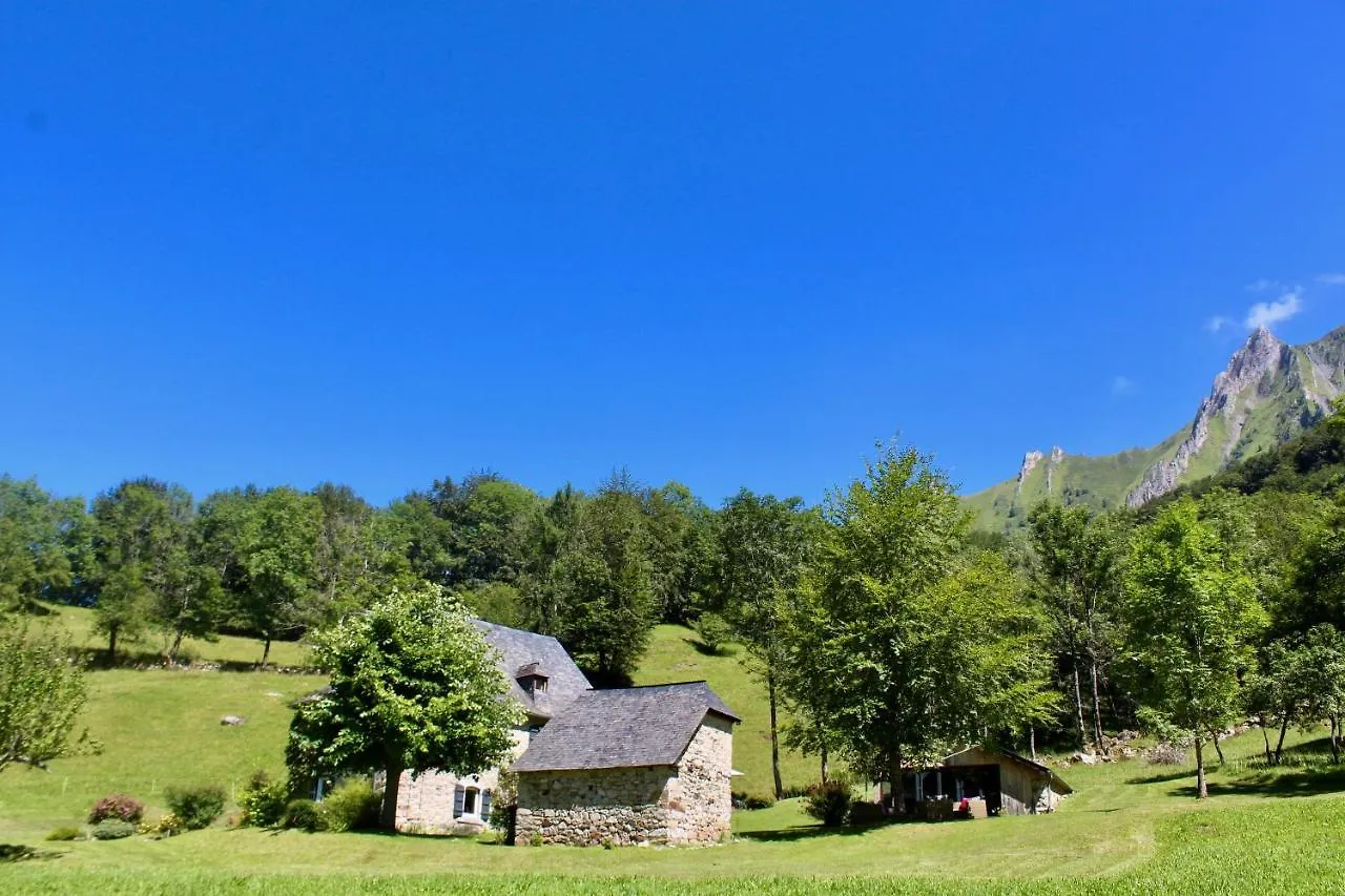 Le Domaine de Castille - chalet pyrénéen de charme Arrens-Marsous